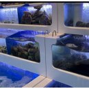 우리바다해물찜 이미지