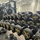 스카이 피티 태닝 | 하남 미사 헬스장 스카이짐X스카이 필라테스에서 지방타파!!