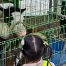 일광비스타동원1차어린이집 이미지