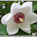 살둔산장 이미지