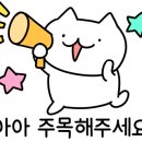 미뇽캣 이미지