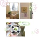 수원-0540 이미지