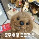 전 꼭 보세요(일정, 체크리스트, 준비물, 경비, 기념품 등 ⭐️ 골드코스트/브리즈번/시드니, 젯스타 후기)