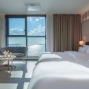 브라운도트거북섬점 이미지