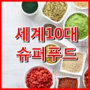 타임(time)
