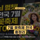 세미원 연꽃문화제, 부여 서동연꽃축제 - 7월 꽃축제가자!!