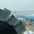 2023-0004 | [ 일본 도쿄 아사쿠사 ] 도쿄 3박 4일 자유여행ㅣ1편!!