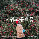 중문GC | [제주여행코스] 서귀포 동백꽃스팟 캐슬렉스 제주 GC, 성이시돌 목장