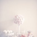 핑크(pink) 이미지