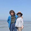행복 - 완도군 고금동로 20-1 | 행복