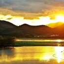 강변마을 이미지