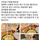 2022, 올해의 결산