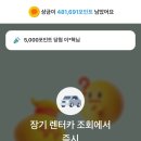 렌터카_카카오페이_2