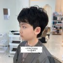 시나움 네이버블로그