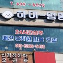 하이멍멍 이미지