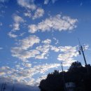 (주)이지팜스 | 친환경 멀칭비닐 이지멀칭 비닐처리문제 해결템