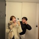 우리들애견 이미지