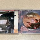 Angel has fallen 이미지