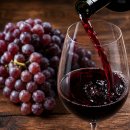 포도나무플러스 | [와인의 품종] 까베르네 소비뇽(Cabernet Sauvignon) 완전 정복 — 이름의 뜻부터 국내 추천까지