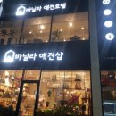 바닐라 애견샵 이미지