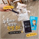 하늘캣 | 궁디팡팡 캣페스타 사전예약😺 | 누릉이가 사람처럼 일어선 이유?! 묘진단 한방 영양 츄르 후기