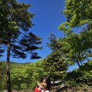 보령댄스학원 Daum카페