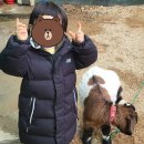 동촌농장 이미지