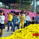 국화어린이공원 이미지
