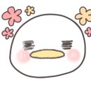 불타는명태조림서 이미지