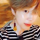 지미니 Daum카페