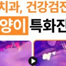 신호동물병원 이미지