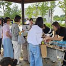 새솔유치원 이미지