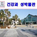 제주건강과 性 박물관 이미지