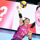 흥국생명 이미지