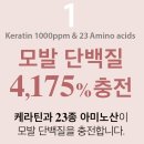 런던헤어 - 양천구 | 런던헤어