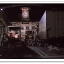 몽땅 펫샾 이미지