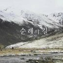 용산-이촌-28 이미지