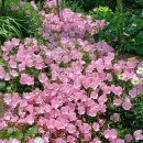 성주관광주유소 이미지