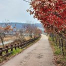 마지1리 이미지