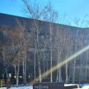 롤링힐스 호텔 이미지