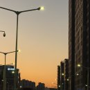 (주)코리아세븐 수원망포역점 | 11월 2주차 일상