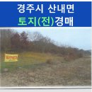 내칠2리 이미지