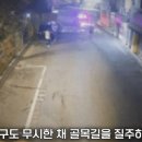 &#34;돈 있을 줄 알고&#34;… 마포대교 투신시도자 가방 훔쳐 달아난 남성 이미지