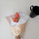 날안 | 24년1월의 서아