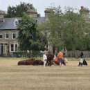 소들의 천국 이미지