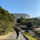 색달무상 이미지