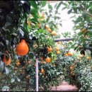 경철농장 이미지