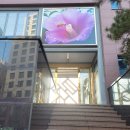 서강8경율도 이미지