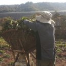 유성농장 2 이미지