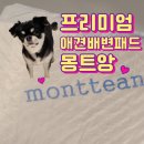 몽트앙